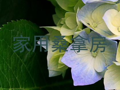 家用桑拿房