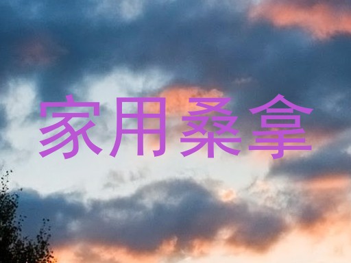 家用桑拿