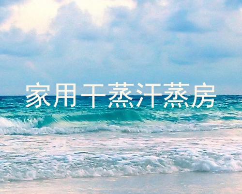 家用干蒸汗蒸房