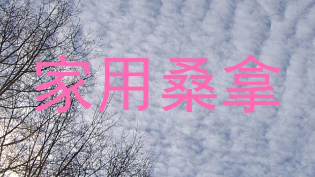 家用桑拿