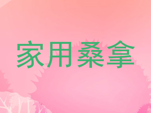 家用桑拿