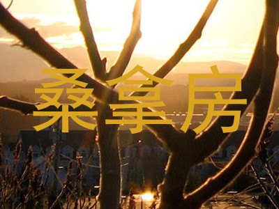 桑拿房