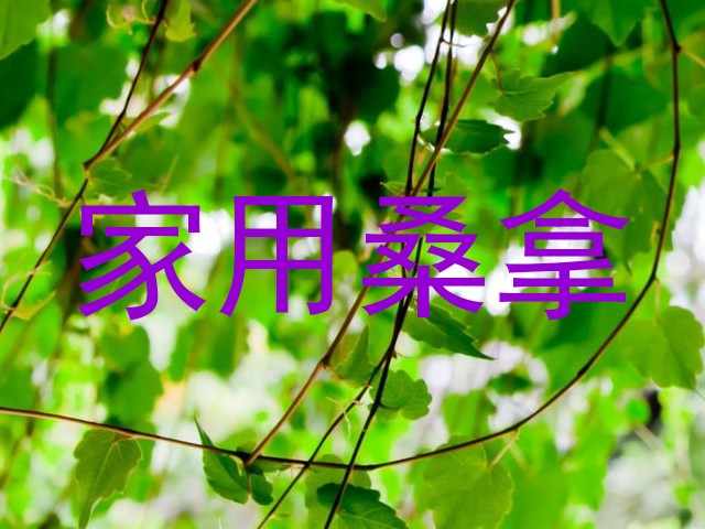 家用桑拿