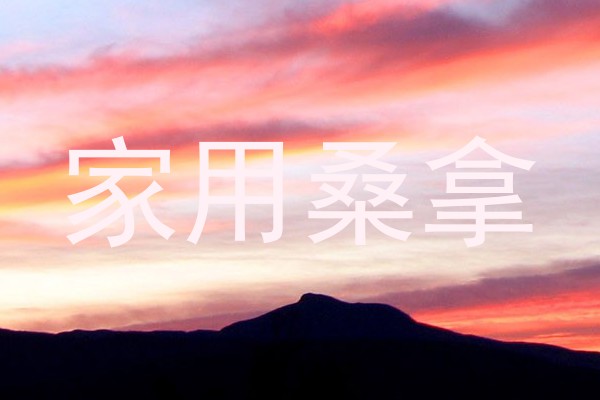 家用桑拿