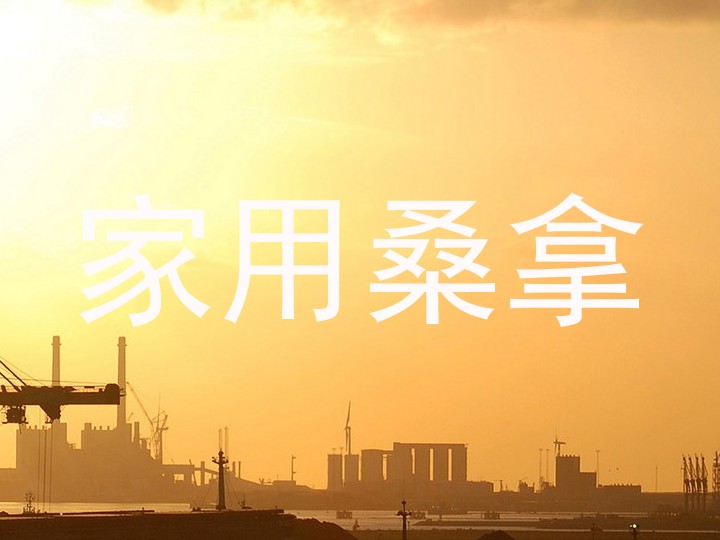 家用桑拿