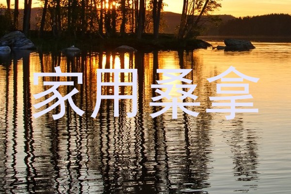 家用桑拿