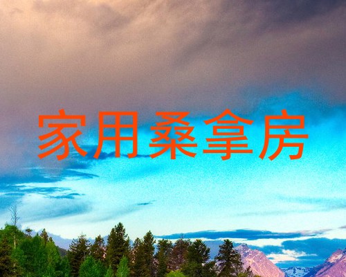 家用桑拿房