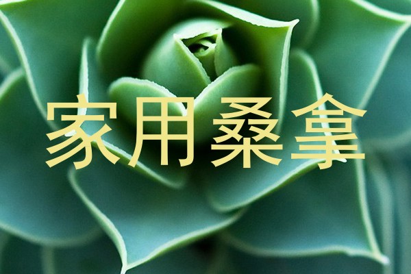 家用桑拿