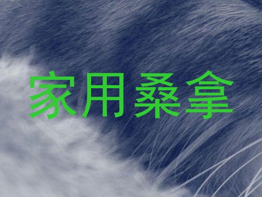 家用桑拿