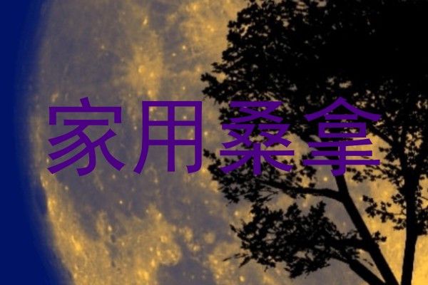 家用桑拿