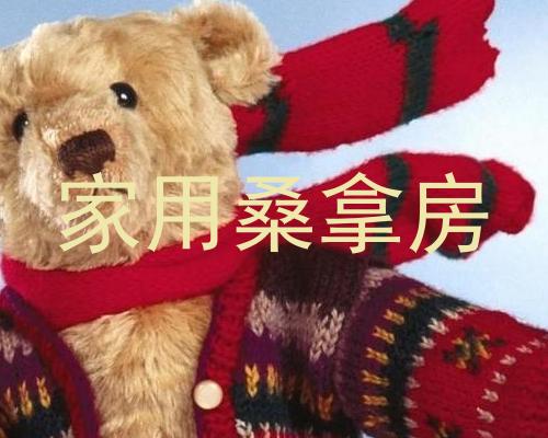 家用桑拿房