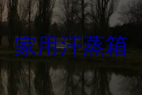 家用汗蒸箱