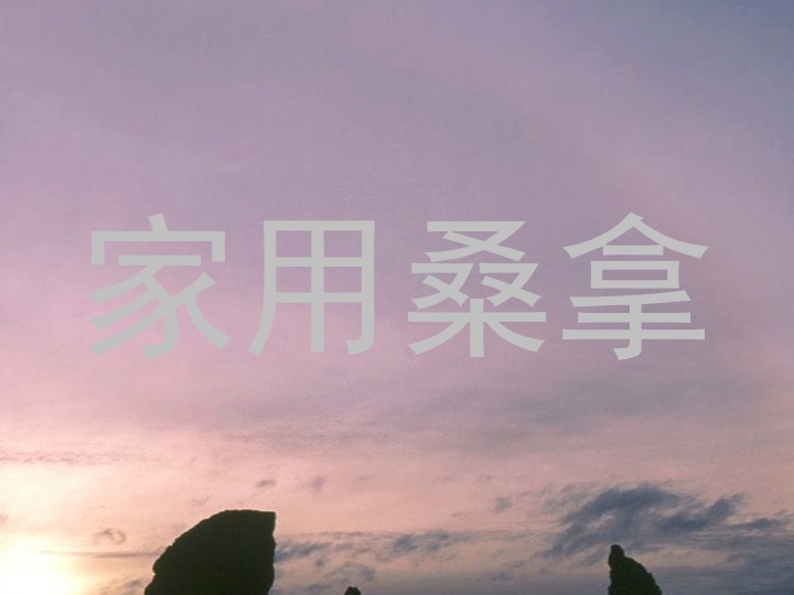 家用桑拿