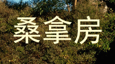 桑拿房