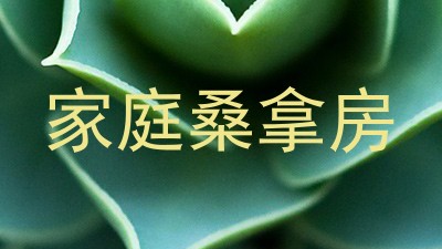 家庭桑拿房
