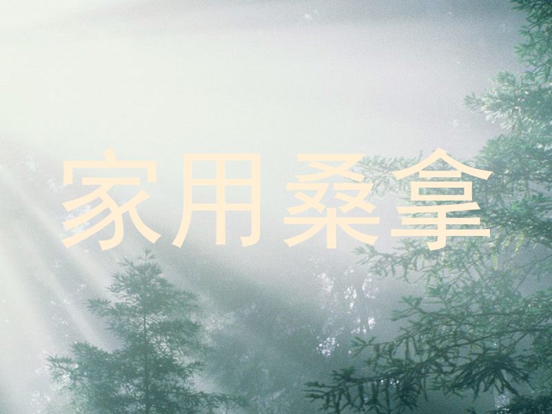 家用桑拿