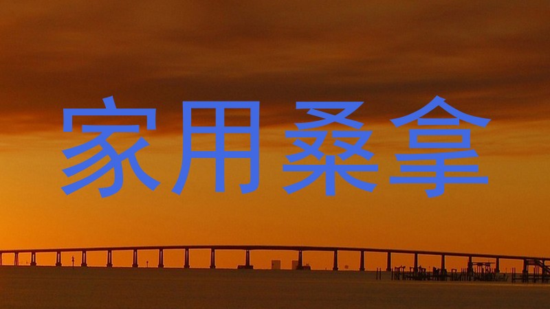 家用桑拿