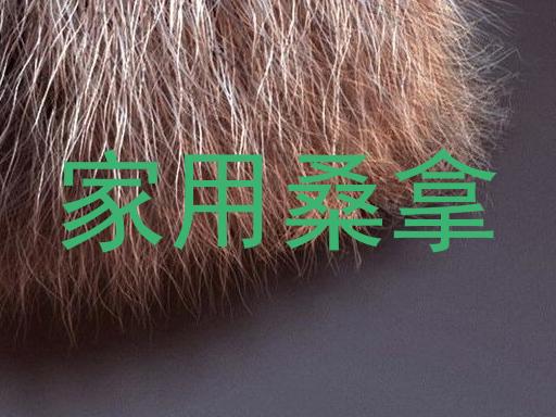 家用桑拿