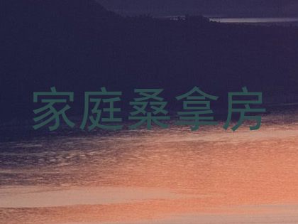 家庭桑拿房