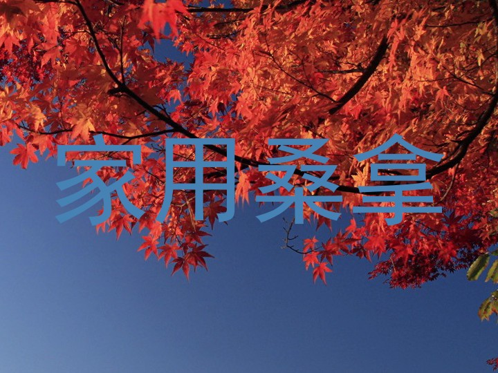 家用桑拿