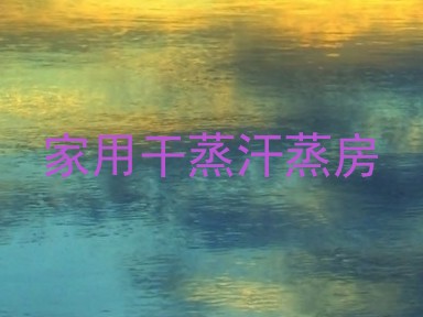 家用干蒸汗蒸房