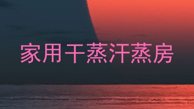 家用干蒸汗蒸房
