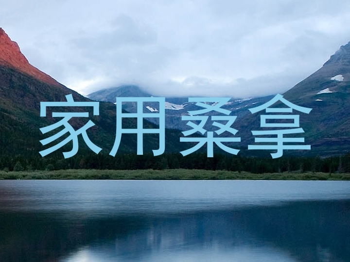 家用桑拿