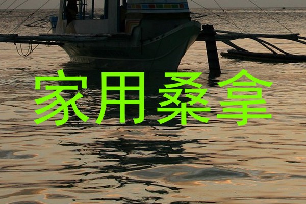 家用桑拿