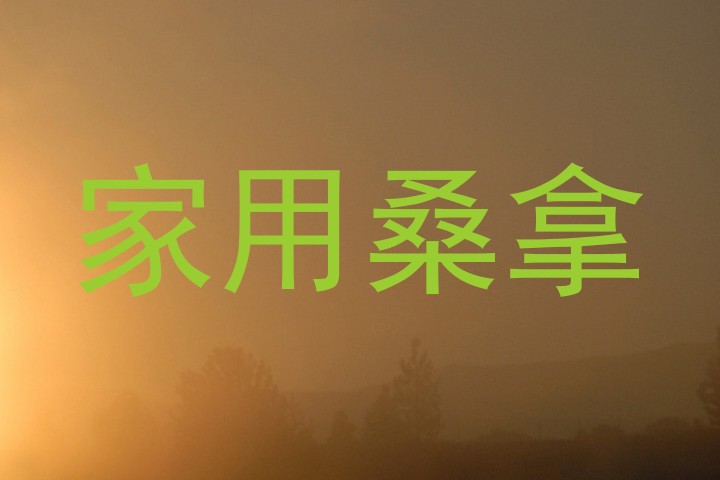 家用桑拿