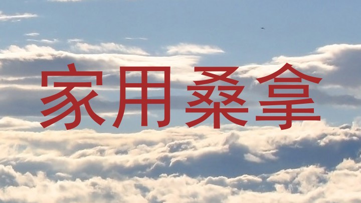家用桑拿