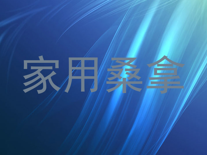 家用桑拿