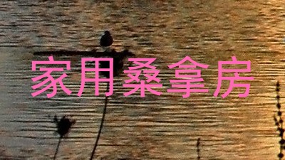 家用桑拿房