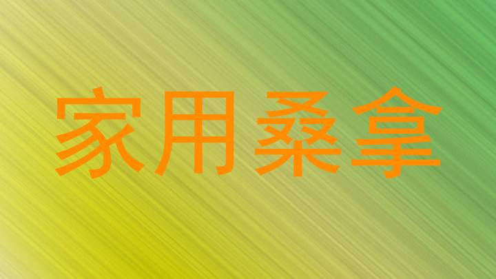 家用桑拿