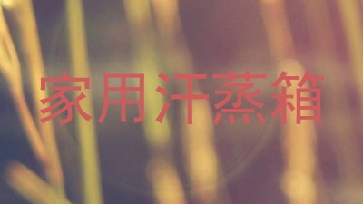 家用汗蒸箱