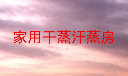 家用干蒸汗蒸房