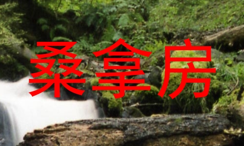 桑拿房