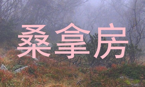 桑拿房