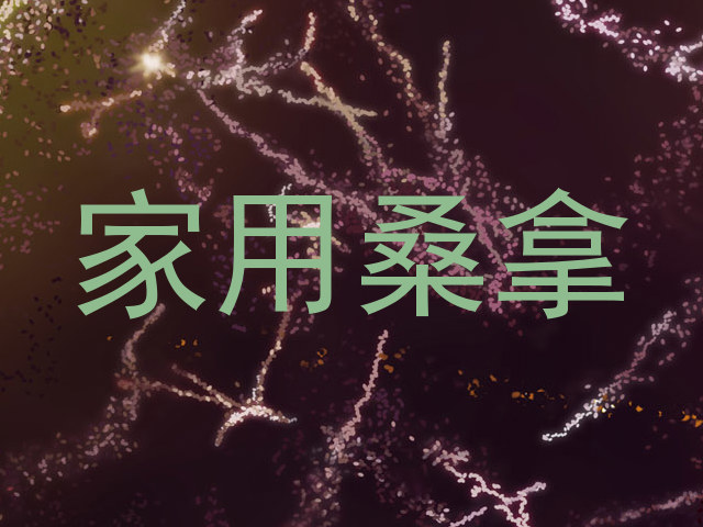 家用桑拿