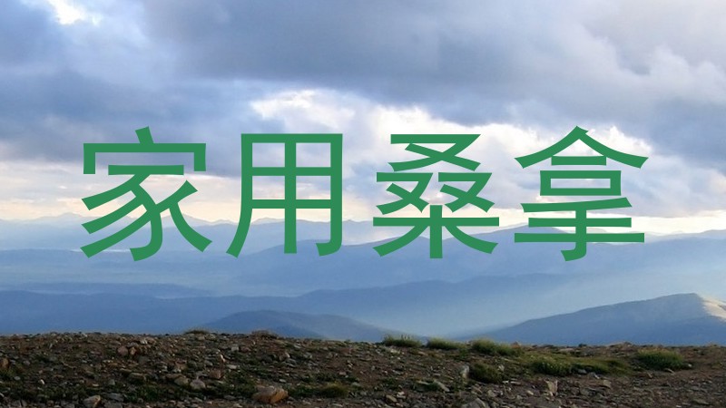 家用桑拿