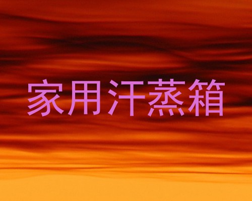 家用汗蒸箱