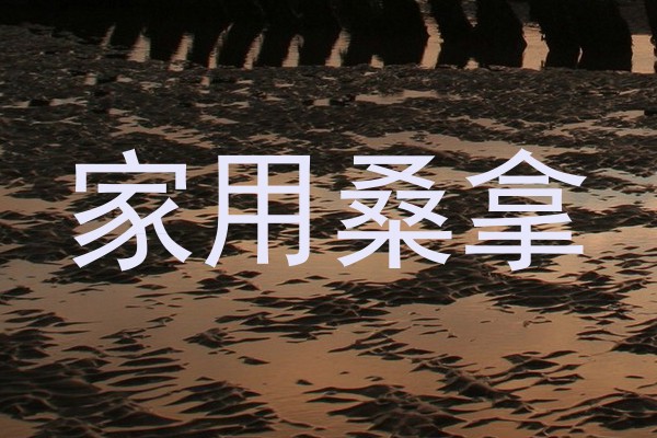 家用桑拿