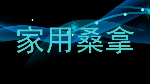 家用桑拿