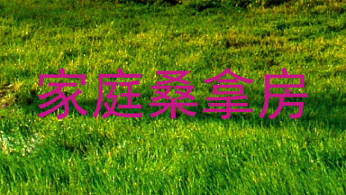 家庭桑拿房