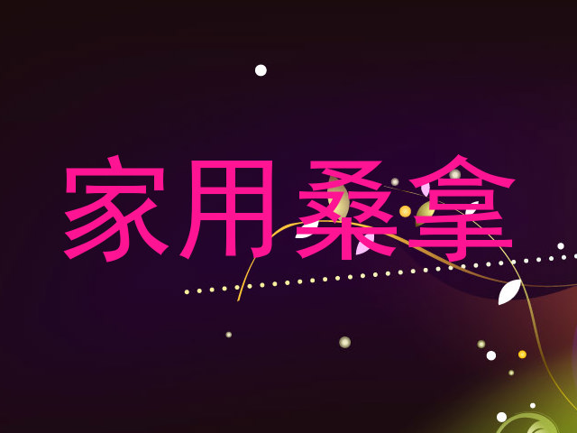 家用桑拿
