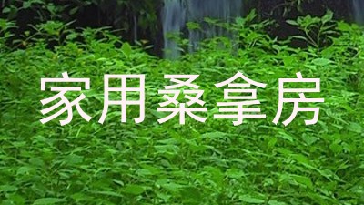 家用桑拿房