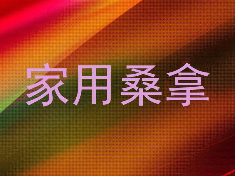 家用桑拿
