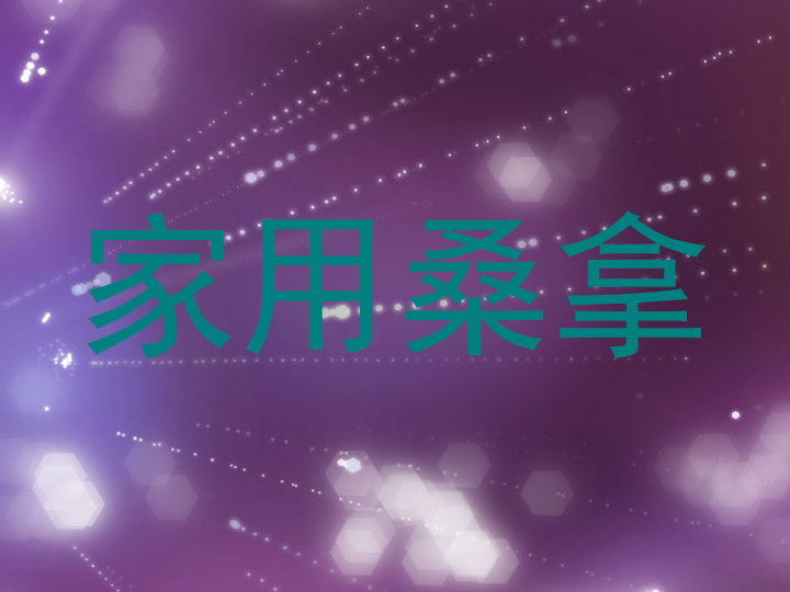 家用桑拿