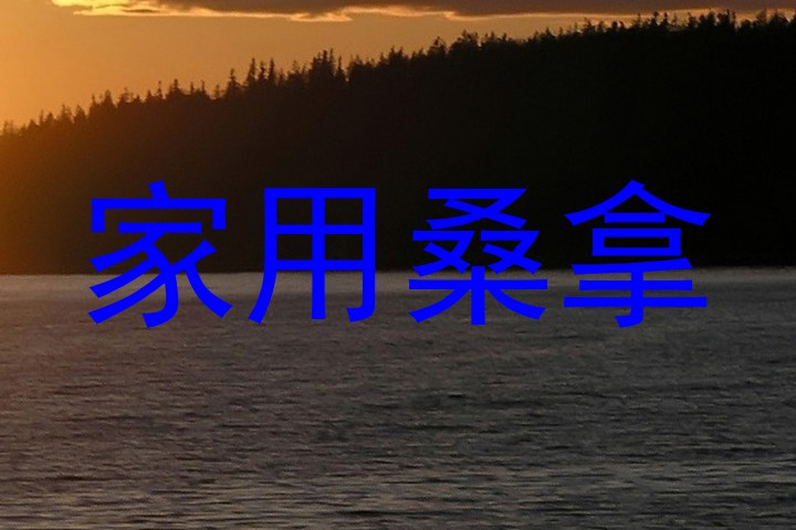 家用桑拿