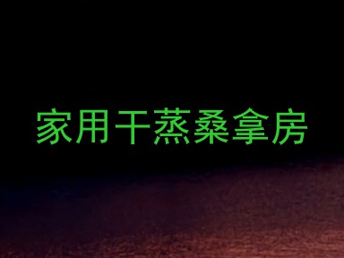 家用干蒸桑拿房