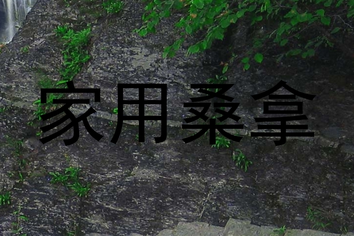家用桑拿